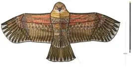 ribiland-straszak-w-ksztalcie-orla-z-masztem-3-70-m