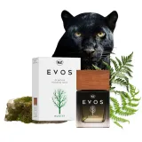 perfumy-do-samochodu-k2-evos-perfumy-50ml-mix-producent-k2-rodzaj-atomizery