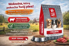 4-cztery-lapy-basic-sucha-karma-dla-psow-doroslych-z-wolowina-20kg