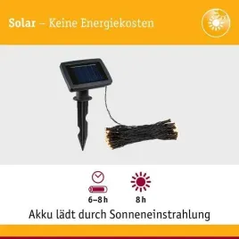 lampa-solarna-z-girlanda-i-czujnikiem-aurinka-60er-pl94877-paulmann