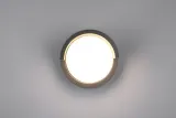 puno-r27036132