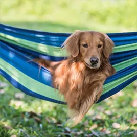 hamak-zewnetrzny-dla-1-osoby-wytrzymaly-material-plocienny-o-udzwigu-200-k