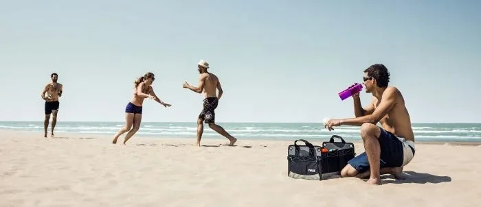 organizer-skladany-thule-go-box