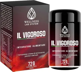 wellness-lab-system-il-vigoroso-srodek-na-potencje-produkt-powystawowy