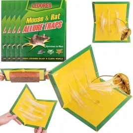 lep-klej-pulapka-na-myszy-szczury-klejowa-lepowa-myszolapka-gryzonie