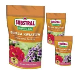 nawoz-substral-burza-kwiatow-magiczna-sila-pelargonia-surfinia-kwiaty