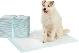 podklady-chlonne-i-maty-amazonbasics-60-szt