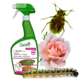 karate-gotowy-spray-owadobojczy-na-mszyce-stonke-szkodniki-wciornastki-1l