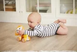 interaktywna-zabawka-tiny-love-lew-leonardo-stan-nowy-material-plastik