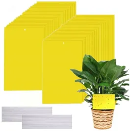 eko-zolte-lepy-do-doniczek-doniczki-na-muszki-mszyce-owady-ziemiorki-60-szt