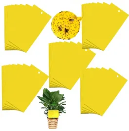 zolte-lepy-do-doniczek-ziemiorki-owady-skuteczne