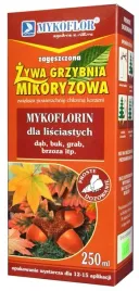 mikoryza-dla-drzew-lisciastych