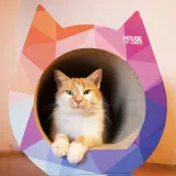drapak-dla-kota-cat-triangle-stan-nowy