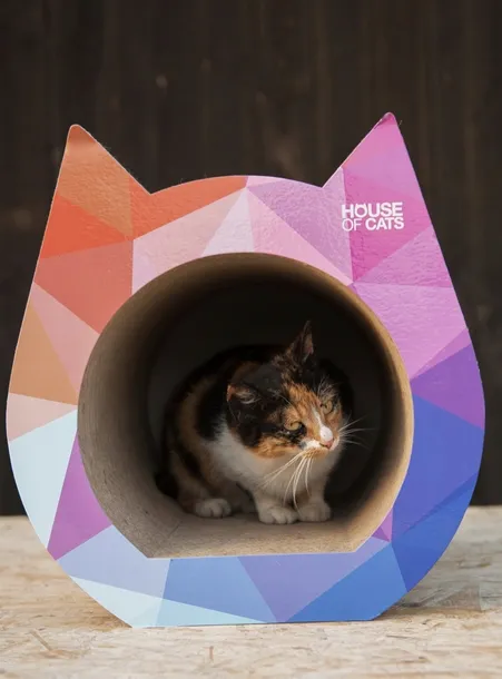 drapak-dla-kota-cat-triangle-rodzaj-drapak-niski