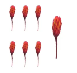 protea-lakierowana-czerwona-6-sztuk