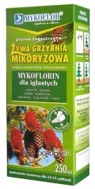 mikoryza-dla-drzew-iglastych-grzybnia