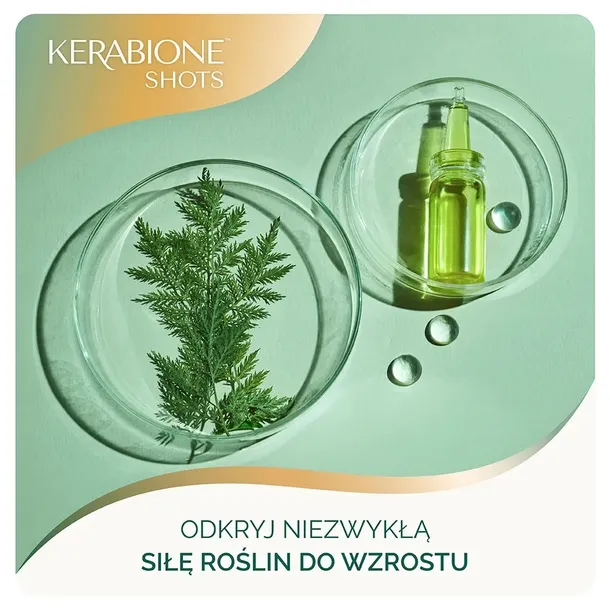 kerabione-shots-ceramidy-weganska-formula-na-wlosy-14-fiolek-stan-opakowania-oryginalne