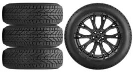nowe-kola-zima-audi-a3-allstreet-gy-riken-225-45r18
