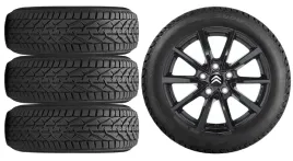 nowe-kola-zima-citroen-berlingo-e-riken-205-55r17-36