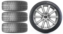 nowe-kola-zima-peugeot-partner-e-goodride-205-55r17-33