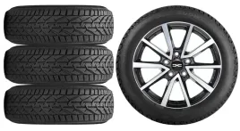 nowe-kola-zima-dacia-duster-ii-2-sr-riken-215-60r17-29