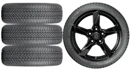nowe-kola-zima-peugeot-rifter-e-nokian-215-65r16-3