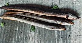 wegorz-wedzony-jantar-1-kg-wedzone