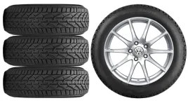 nowe-kola-zima-vw-t-roc-a1-riken-215-50r18-10