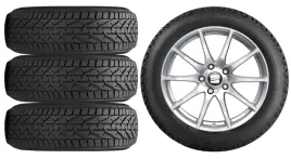 nowe-kola-zima-seat-ateca-5fp-riken-215-50r18-11
