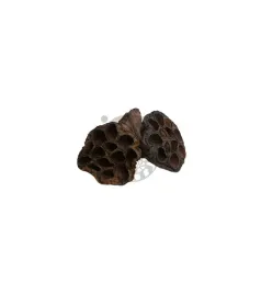 lotos-sredni-6-8-cm