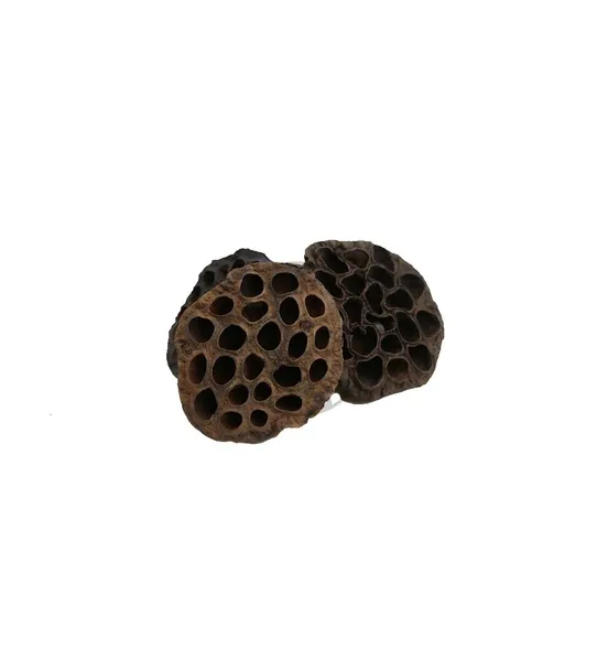 lotos-duzy-10-cm