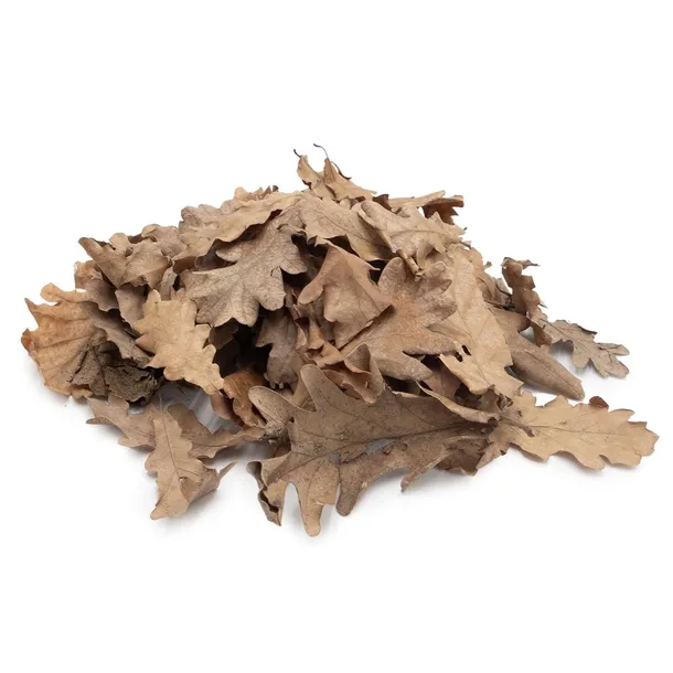 liscie-debu-kod-producenta-br-0049