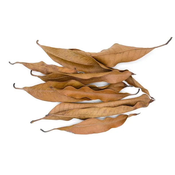 liscie-mango-kod-producenta-gs-liscie-mango