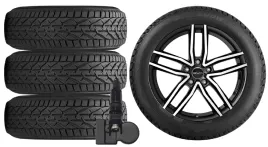 nowe-kola-zima-byd-atto-3-sc2e-riken-215-60r17-tpms-10