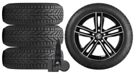 nowe-kola-zima-mg-4-seh3-riken-215-50r17-tpms