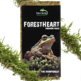 mech-torfowiec-100g-forestheart-sphagnum-terrario