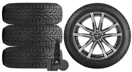 nowe-kola-zima-toyota-rav-4-rav4-xa5-riken-225-60r18-tpms