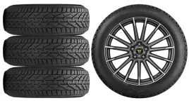 nowe-kola-zima-cupra-leon-kl-riken-225-45r17