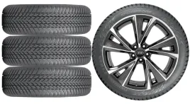 nowe-kola-zima-audi-a6-allroad-c8-nokian-235-50r19