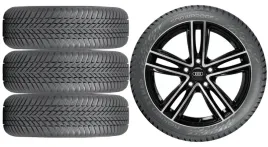 nowe-kola-zima-audi-q3-sportback-f3-nokian-215-65r17