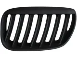 grill-nerki-bmw-x5-e53-04-06-black-matt