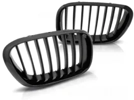 grill-nerki-bmw-x5-e53-9-99-10-03-glossy-black