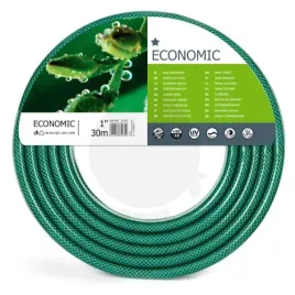 waz-economic-1-30-m