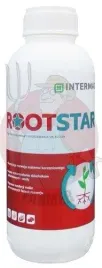 rootstar-1-l-intermag