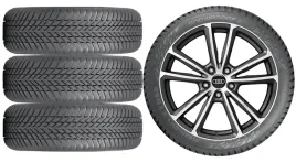 nowe-kola-zima-audi-a6-allroad-c8-nokian-235-50r19