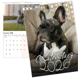 kalendarz-scienny-2026-wieloplanszowy-duzy-notes-bulldog-francuskia-pies-a3