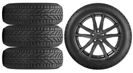 nowe-kola-zima-mazda-cx-3-cx3-dj1-riken-215-50r18