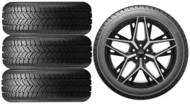 nowe-kola-zima-audi-q3-sportback-f3-roadx-235-55r18-8