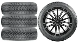 nowe-kola-zima-audi-q3-f3-nokian-255-40r20