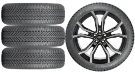 nowe-kola-zima-audi-q8-4l-nokian-275-50r20-3